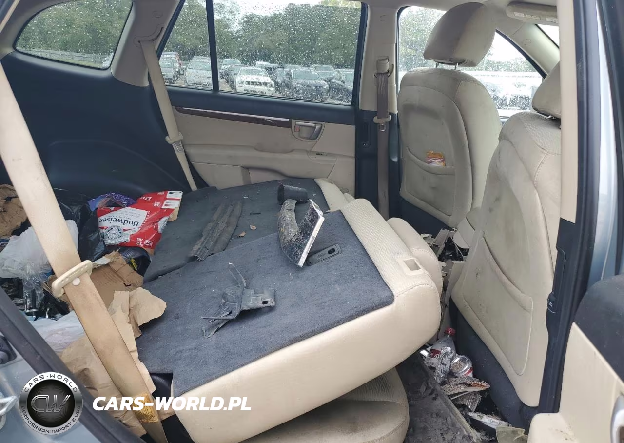 2008 Hyundai Santa Fe Gls VIN:5NMSG13D18H219991 - 11