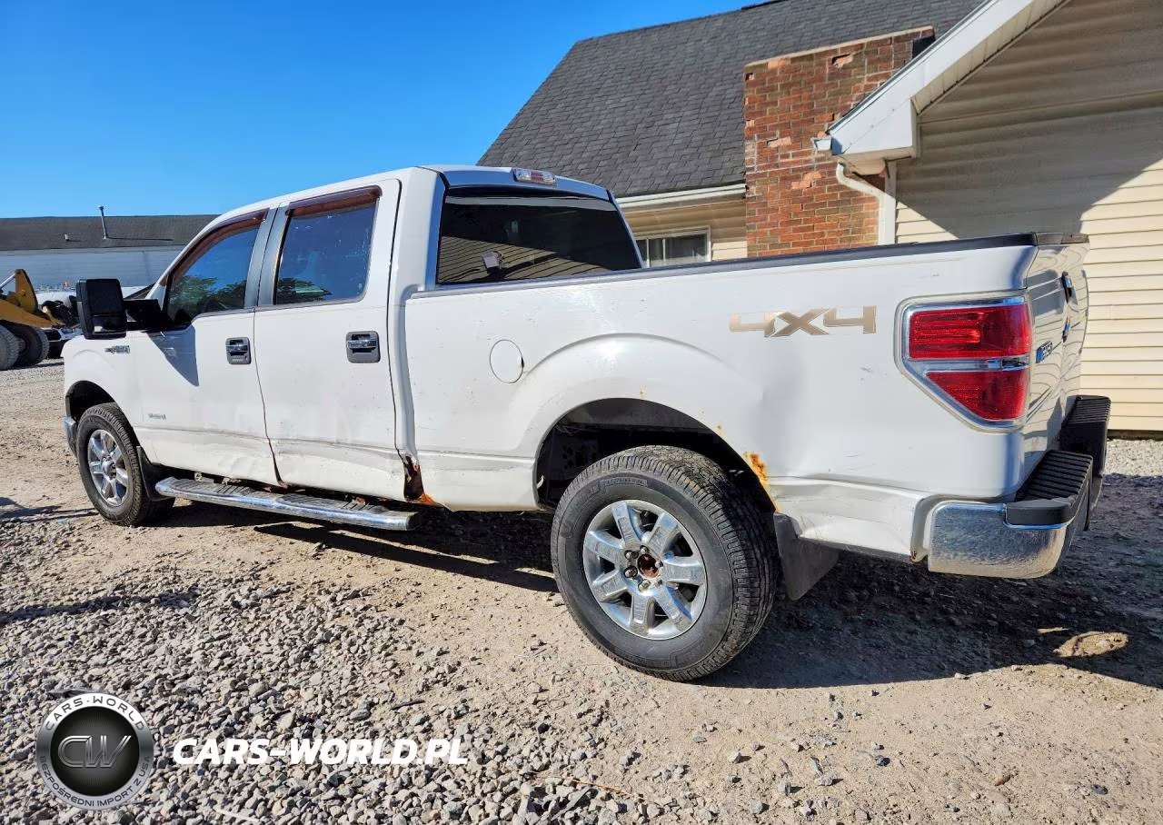 2014 Ford F150 Supercrew VIN:1FTFW1ET8EFB96677 - 2