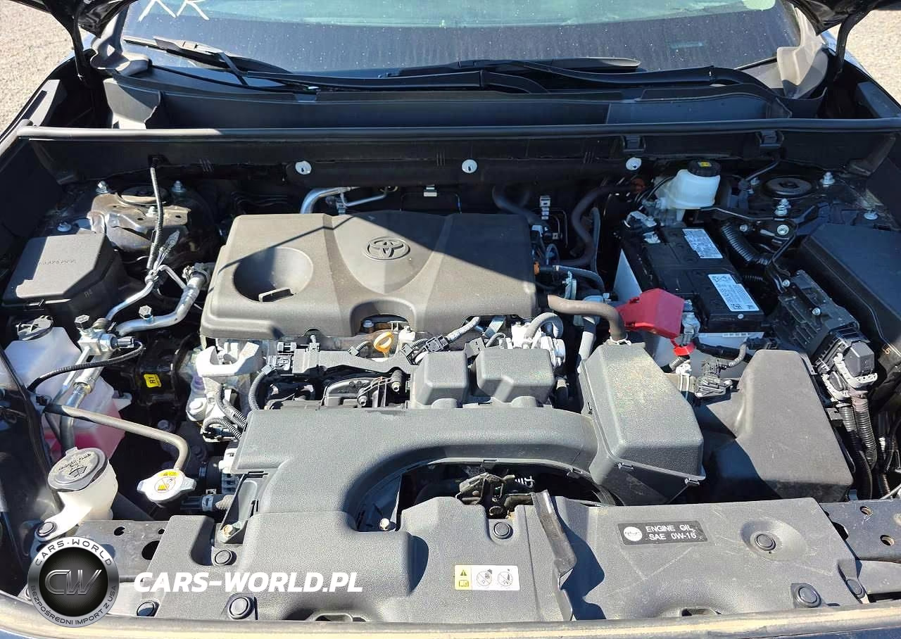 2023 Toyota Rav4 Xle VIN:2T3P1RFV1PW337284 - 13
