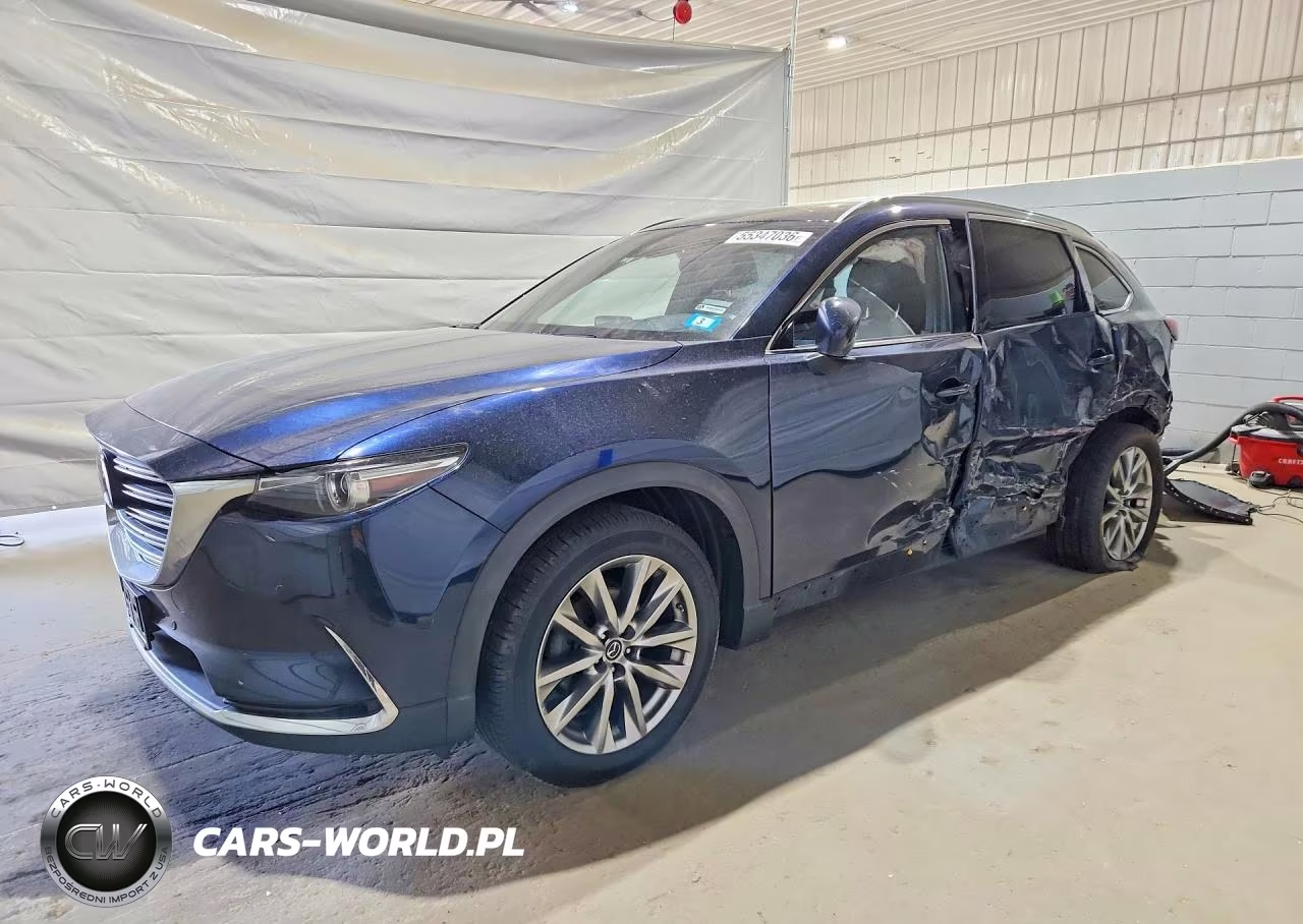 2019 Mazda Cx-9 Grand Touring VIN:JM3TCBDY3K0321850 - 1