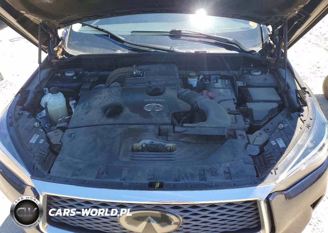 2019 Infiniti Qx50 Luxe VIN:3PCAJ5M11KF129628 - 12