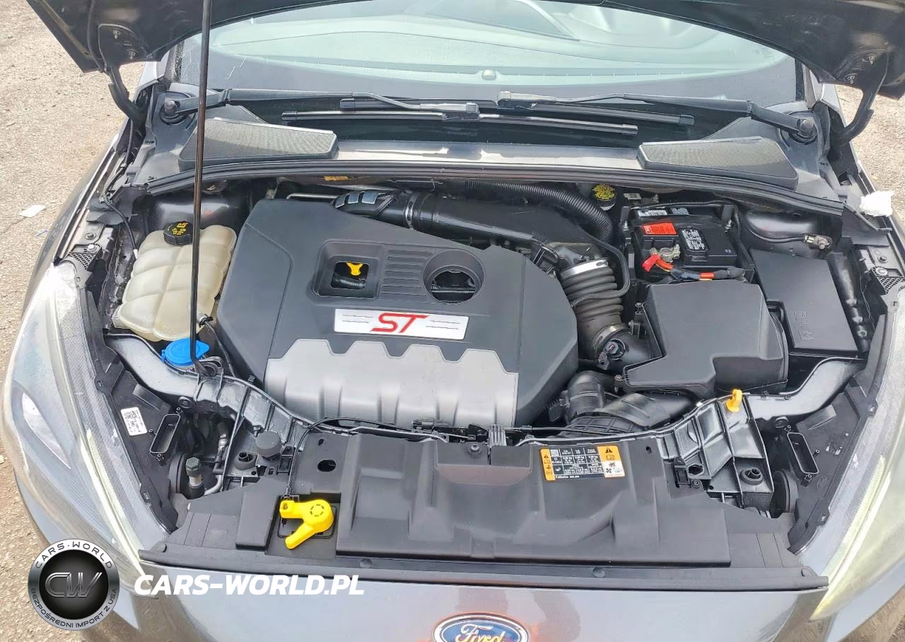 2016 Ford Focus St VIN:1FADP3L91GL308849 - 11