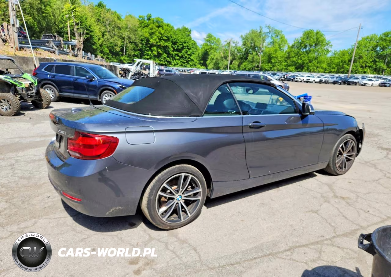 2020 BMW 230Xi VIN:WBA2K1C0XL7E18940 - 3