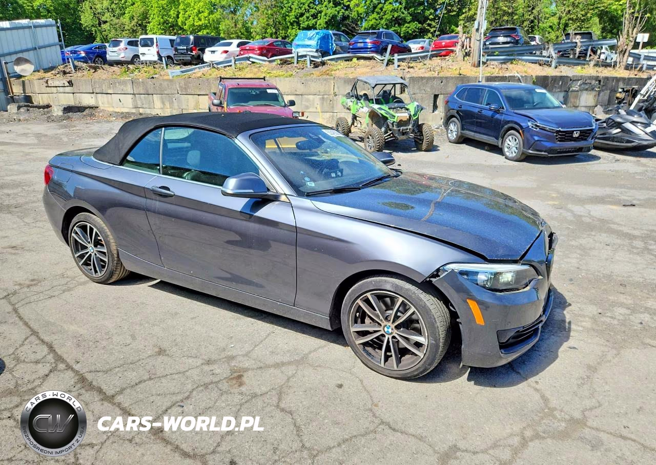2020 BMW 230Xi VIN:WBA2K1C0XL7E18940 - 4