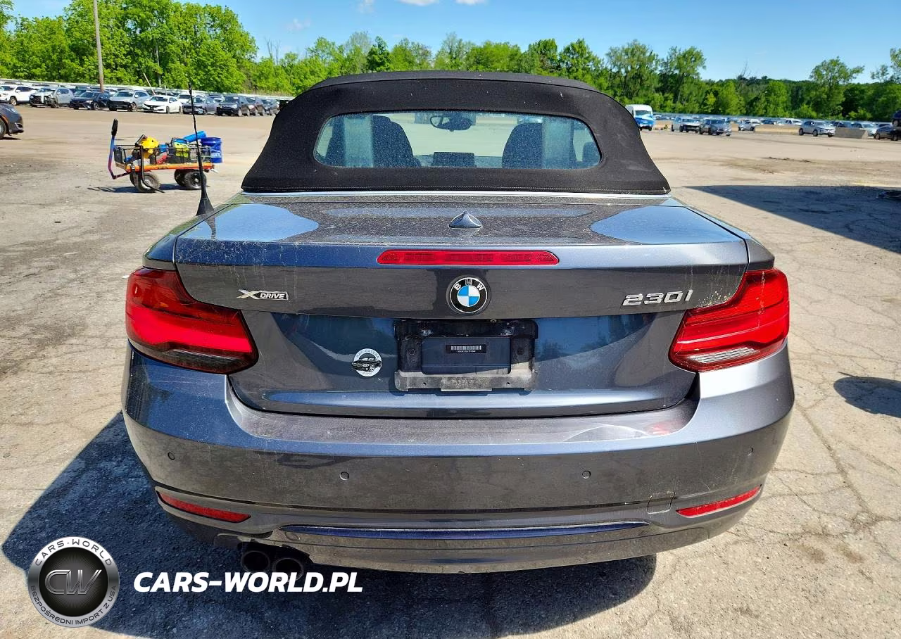2020 BMW 230Xi VIN:WBA2K1C0XL7E18940 - 6