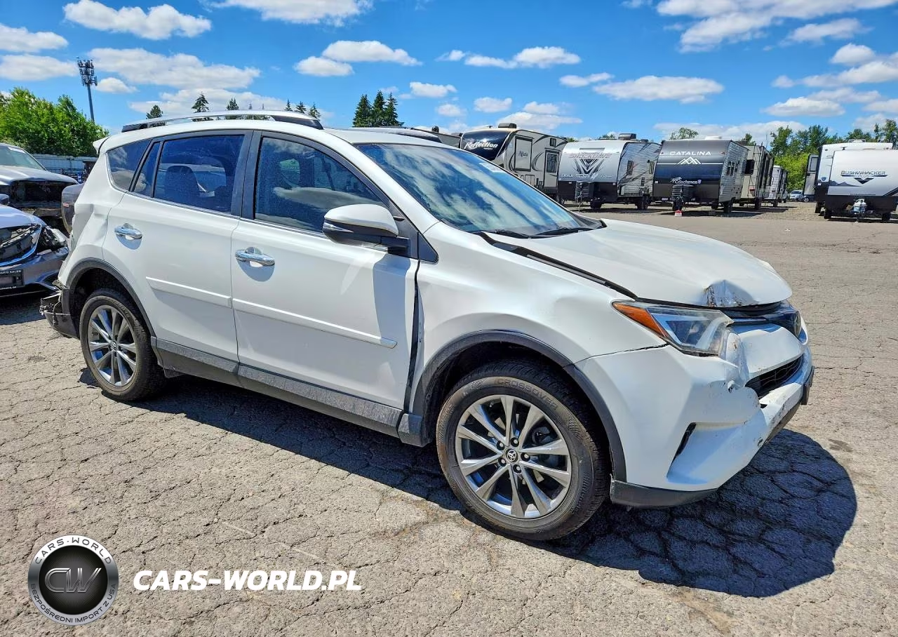 2018 Toyota Rav4 Limited VIN:JTMYFREV1JJ193104 - 4