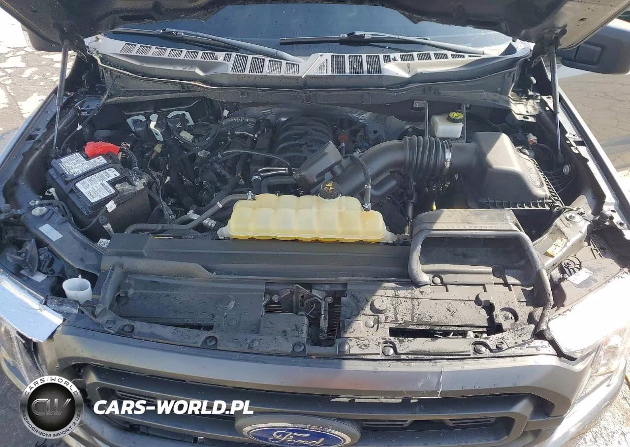 2023 Ford F150 Supercrew VIN:1FTEW1C53PFC48252 - 11