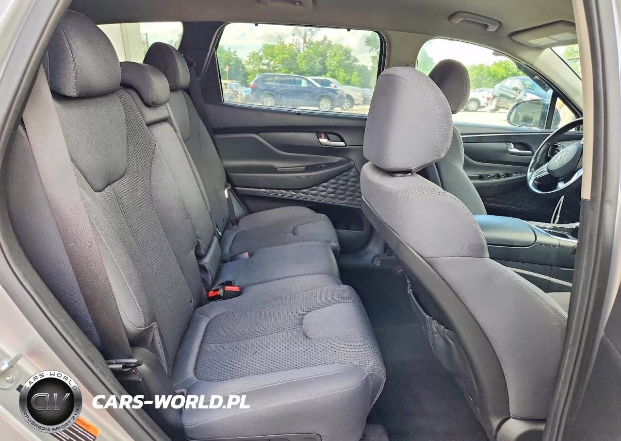 2022 Hyundai Santa Fe Xrt VIN:5NMS64AJ6NH421458 - 10