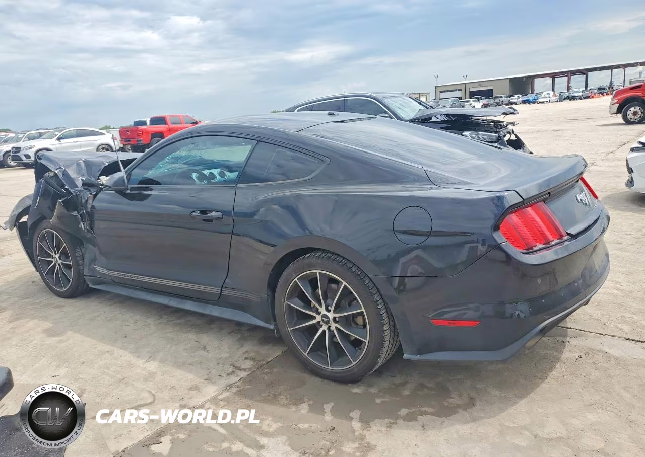 2017 Ford Mustang VIN:1FA6P8THXH5277023 - 2
