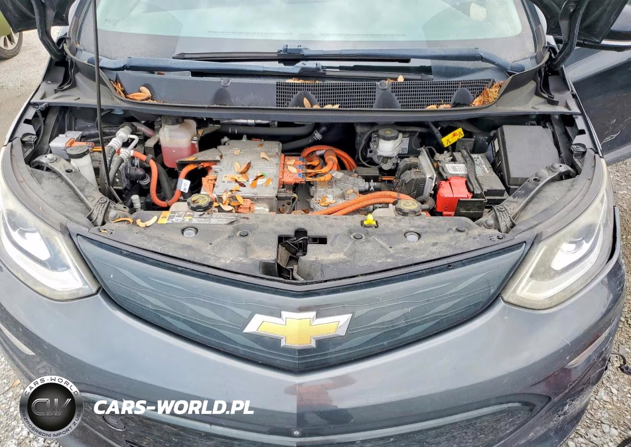 2017 Chevrolet Bolt Ev Premier VIN:1G1FX6S01H4173254 - 12