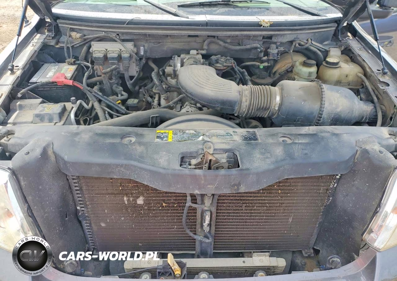 2004 Ford F150 VIN:1FTRF02W44KB13614 - 11