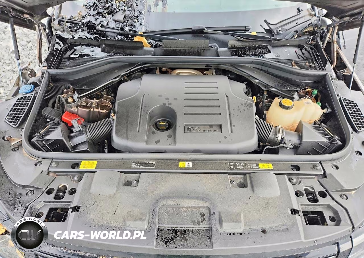 2025 Land Rover Range Rover Sport Dynamic Se VIN:SAL1L9FU1SA439515 - 12