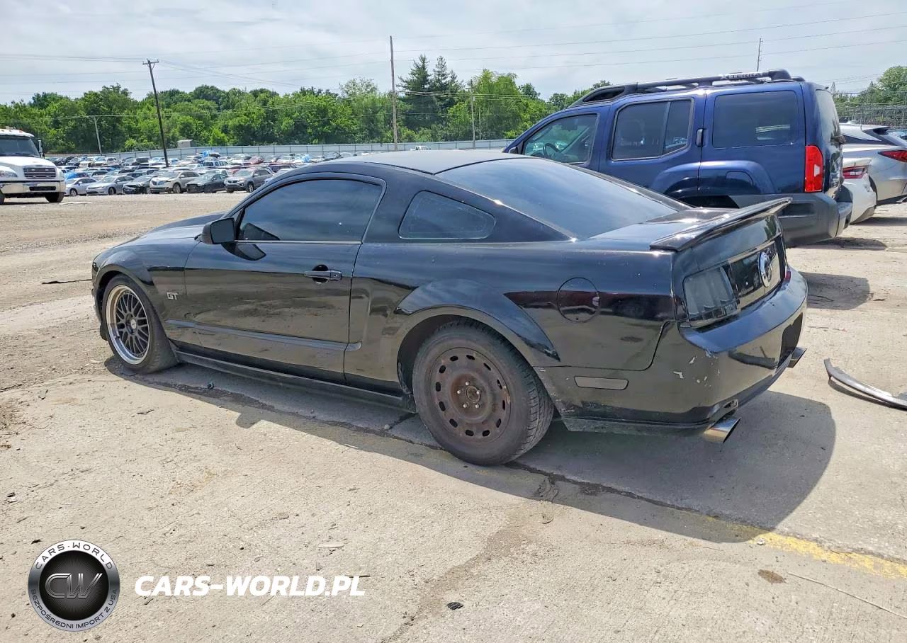 2005 Ford Mustang Gt VIN:1ZVHT82H655221900 - 2