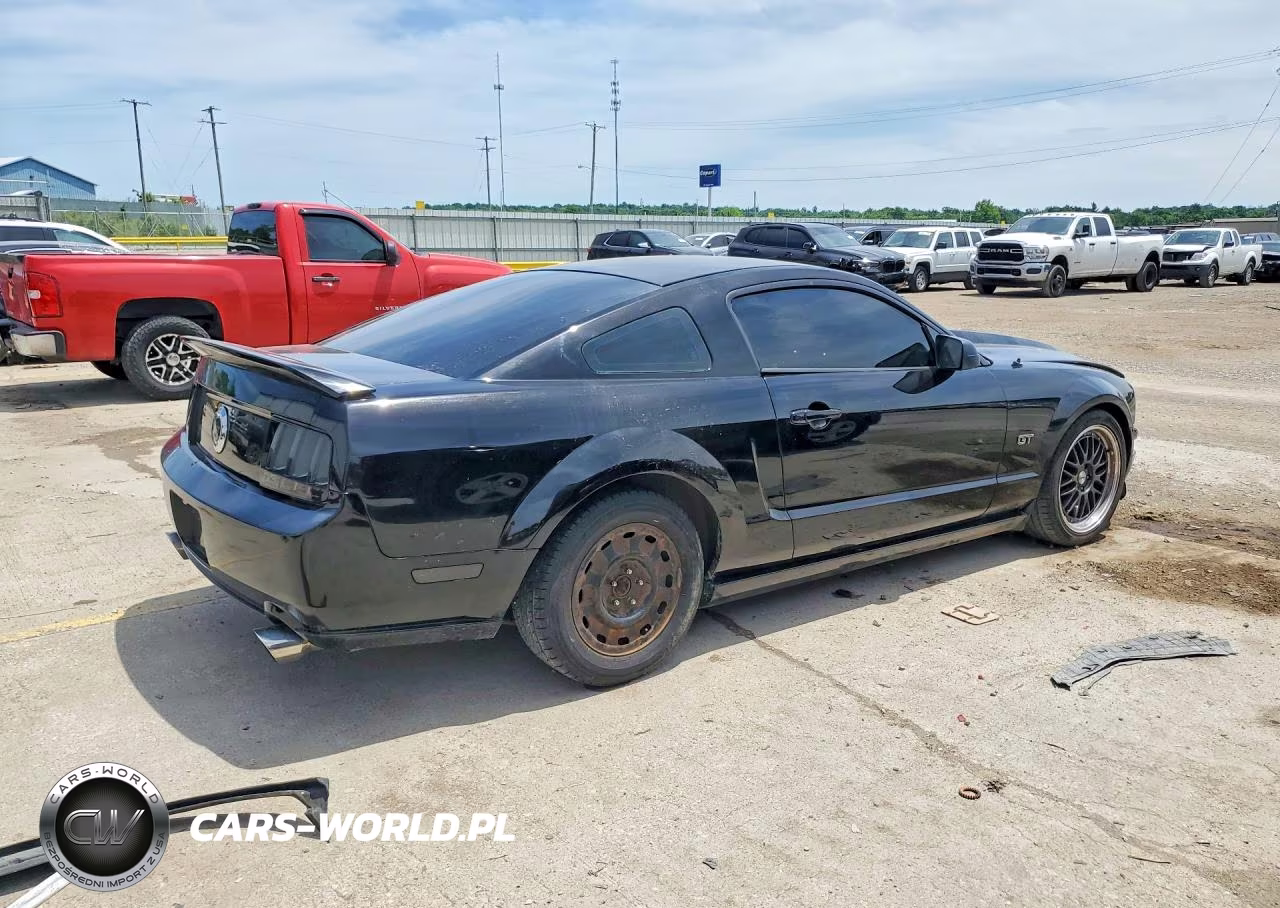 2005 Ford Mustang Gt VIN:1ZVHT82H655221900 - 3