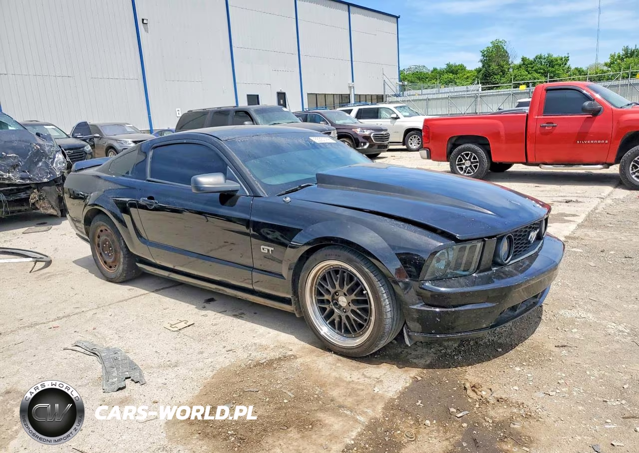 2005 Ford Mustang Gt VIN:1ZVHT82H655221900 - 4