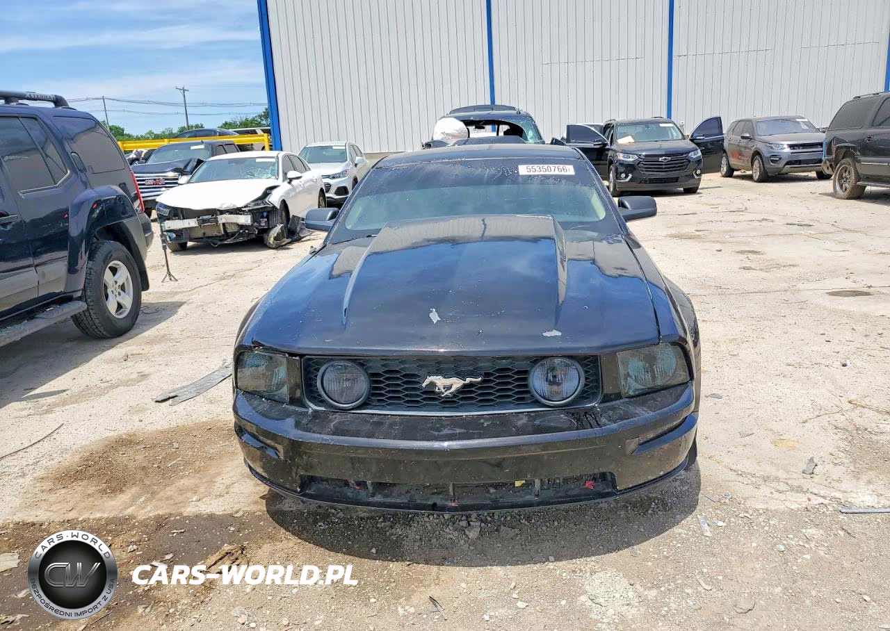 2005 Ford Mustang Gt VIN:1ZVHT82H655221900 - 5