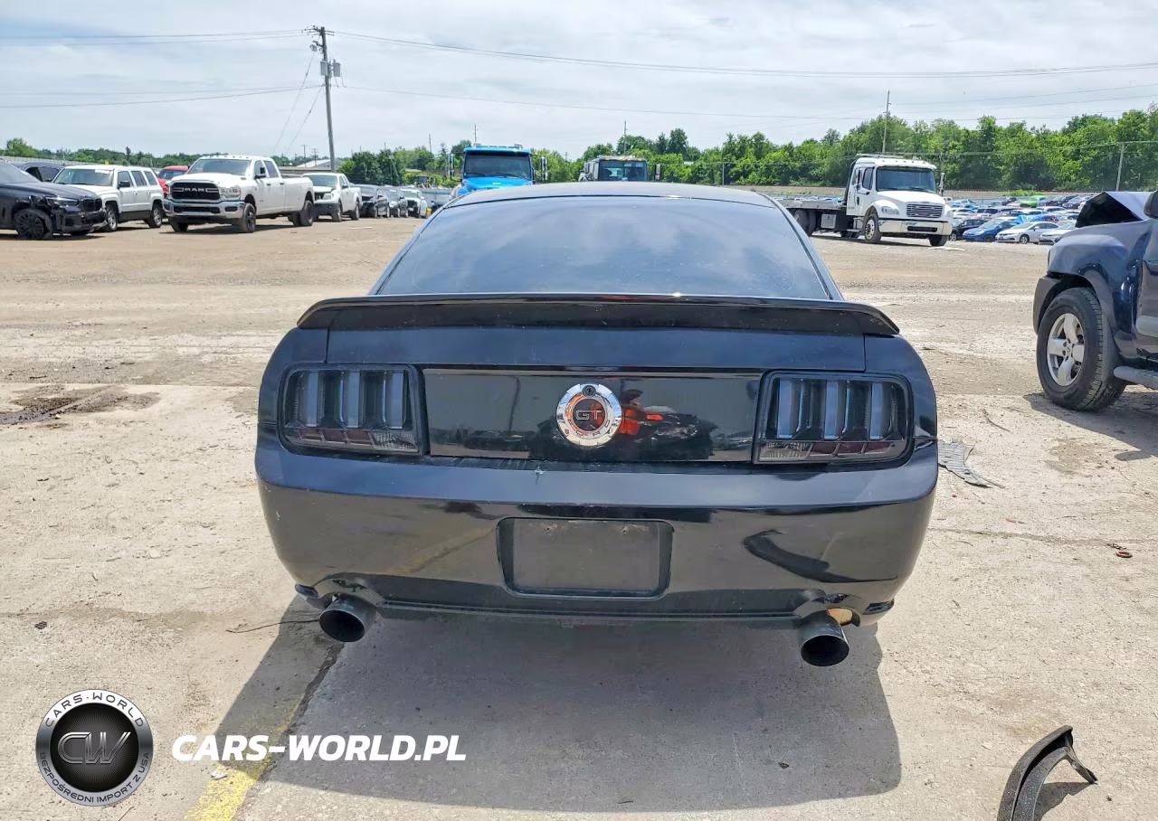 2005 Ford Mustang Gt VIN:1ZVHT82H655221900 - 6