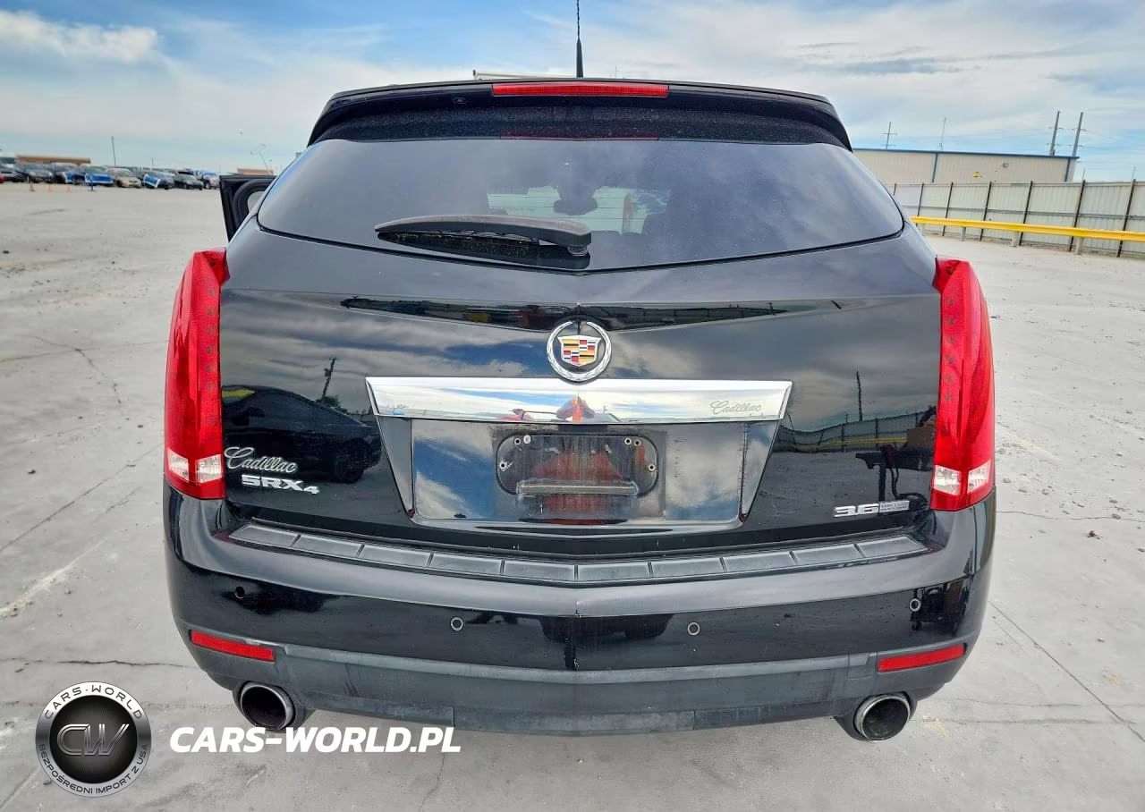2010 Cadillac Srx Luxury Collection VIN:3GYFNAEY8AS608420 - 6