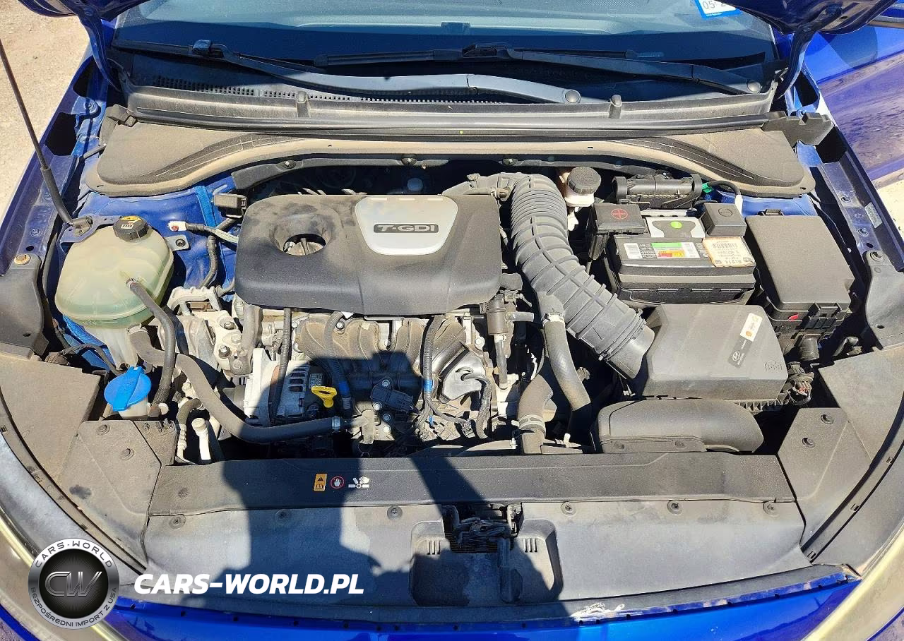 2019 Hyundai Elantra Sport VIN:KMHD04LB8KU871144 - 11