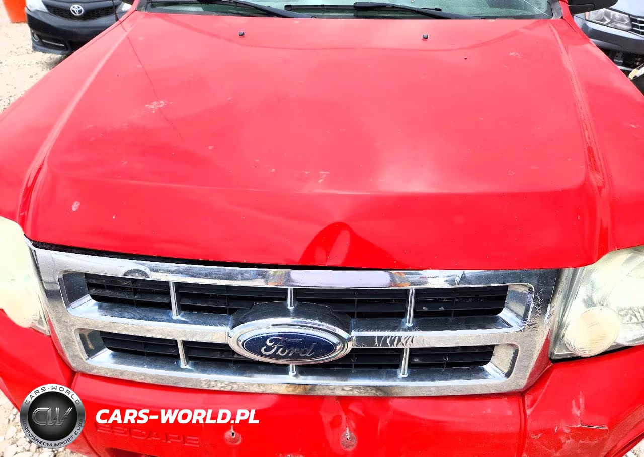 2009 Ford Escape Xlt VIN:1FMCU93G89KA95239 - 11