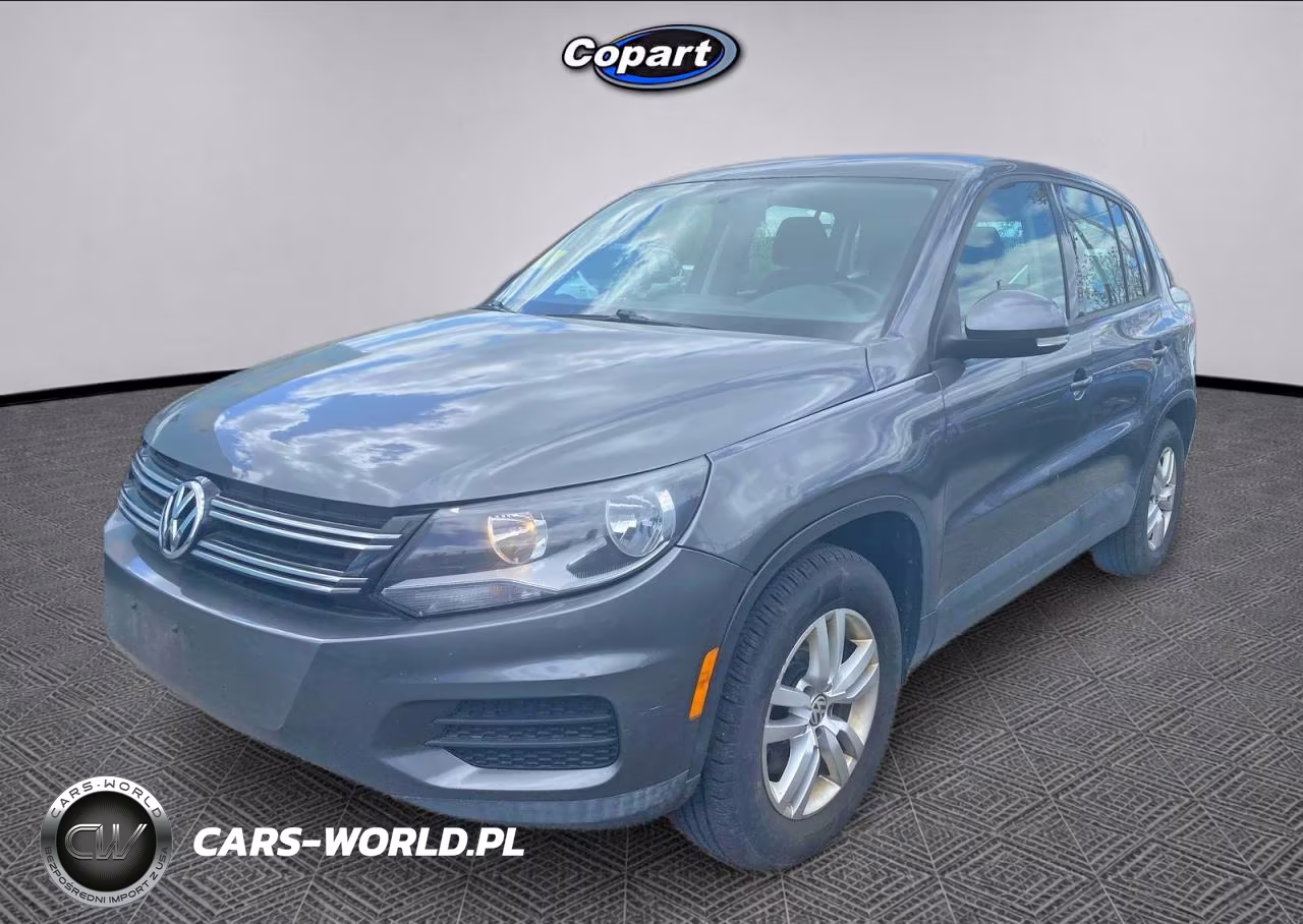 2013 Volkswagen Tiguan S VIN:WVGBV3AXXDW582615 - 2