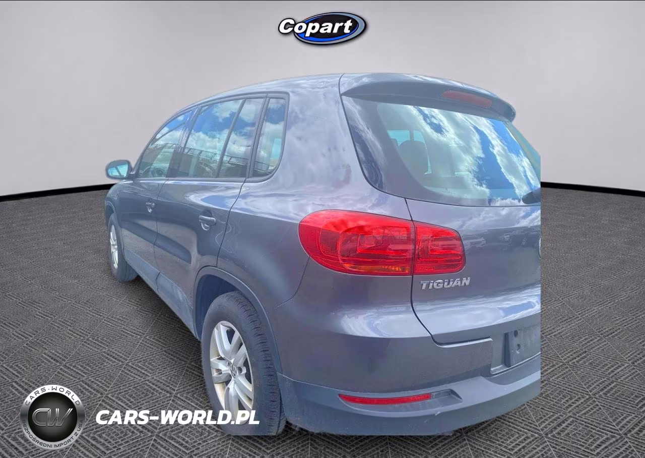 2013 Volkswagen Tiguan S VIN:WVGBV3AXXDW582615 - 3