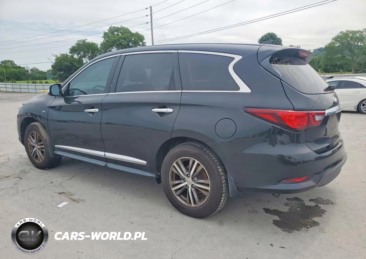 2020 Infiniti Qx60 Pure VIN:5N1DL0MN8LC513431 - 2