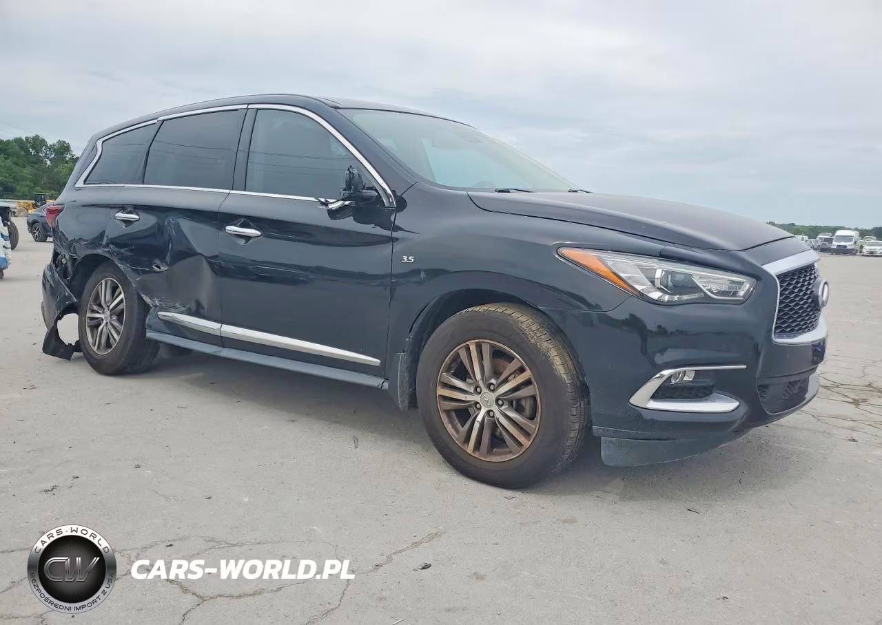 2020 Infiniti Qx60 Pure VIN:5N1DL0MN8LC513431 - 4