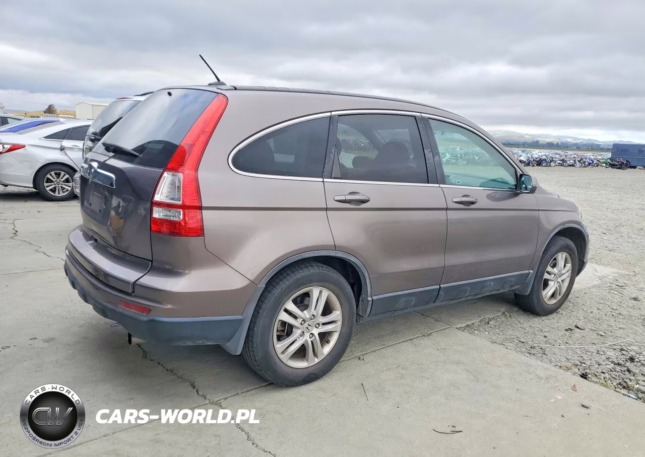 2010 Honda Cr-V Exl VIN:5J6RE3H7XAL043007 - 3