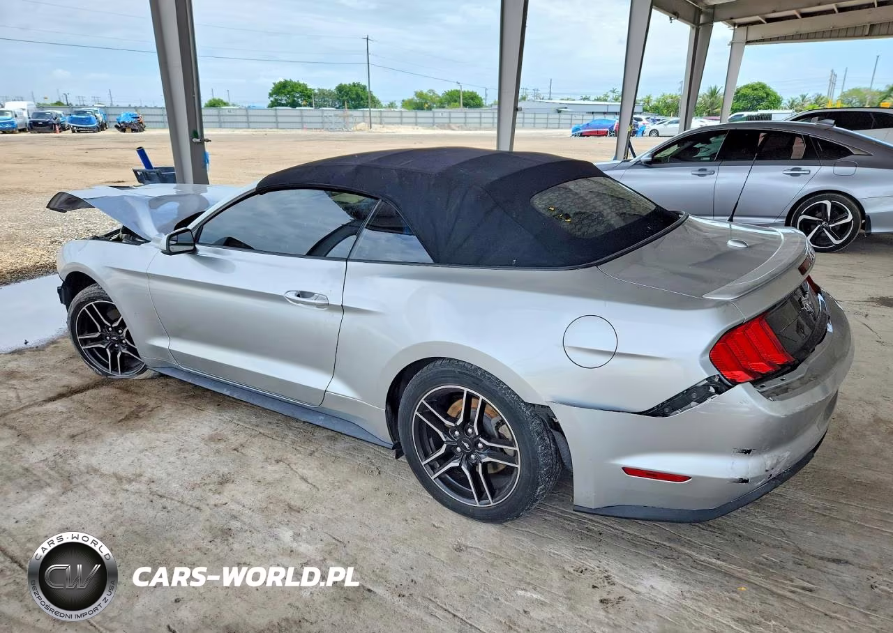 2019 Ford Mustang VIN:1FATP8UH9K5179304 - 2