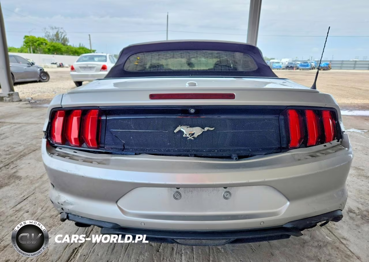 2019 Ford Mustang VIN:1FATP8UH9K5179304 - 6