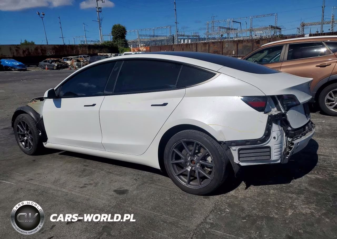 2023 Tesla Model 3 VIN:5YJ3E1EA3PF504298 - 2