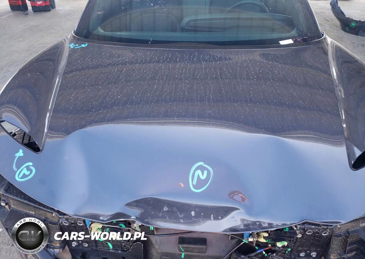 2024 Lucid Motors Air Pure VIN:50EA1PGA5RA006405 - 11