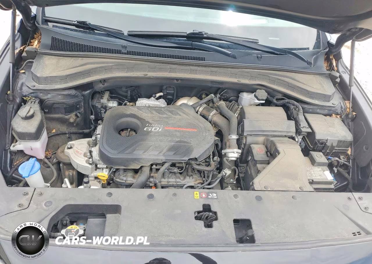 2020 Hyundai Santa Fe Limited 2.0T VIN:5NMS5CAA6LH299582 - 12