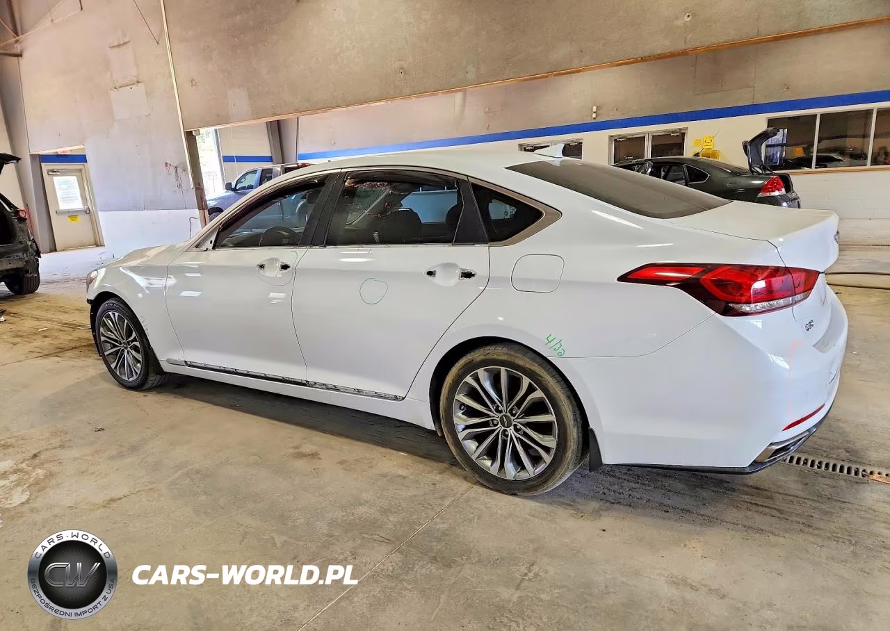 2017 Genesis G80 3.8 VIN:KMHGN4JE6HU209650 - 2