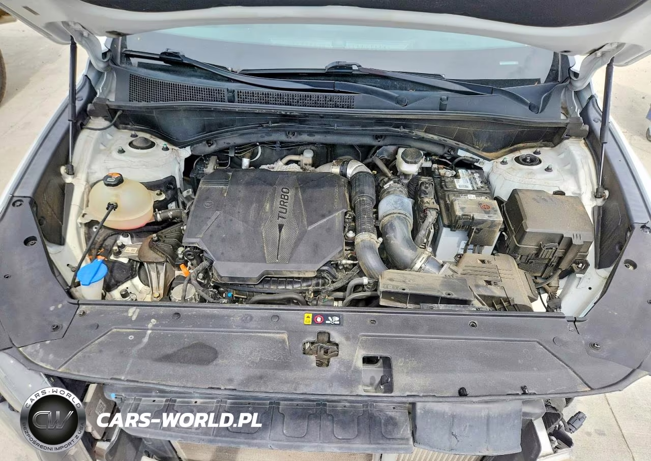 2023 Hyundai Santa Fe Limited VIN:5NMS4DAL8PH534807 - 12