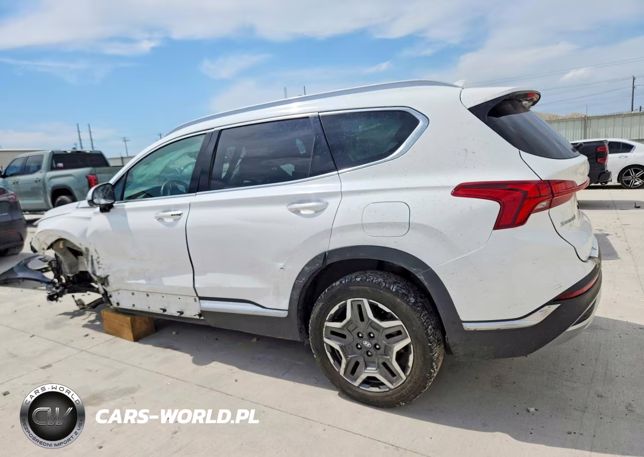 2023 Hyundai Santa Fe Limited VIN:5NMS4DAL8PH534807 - 2