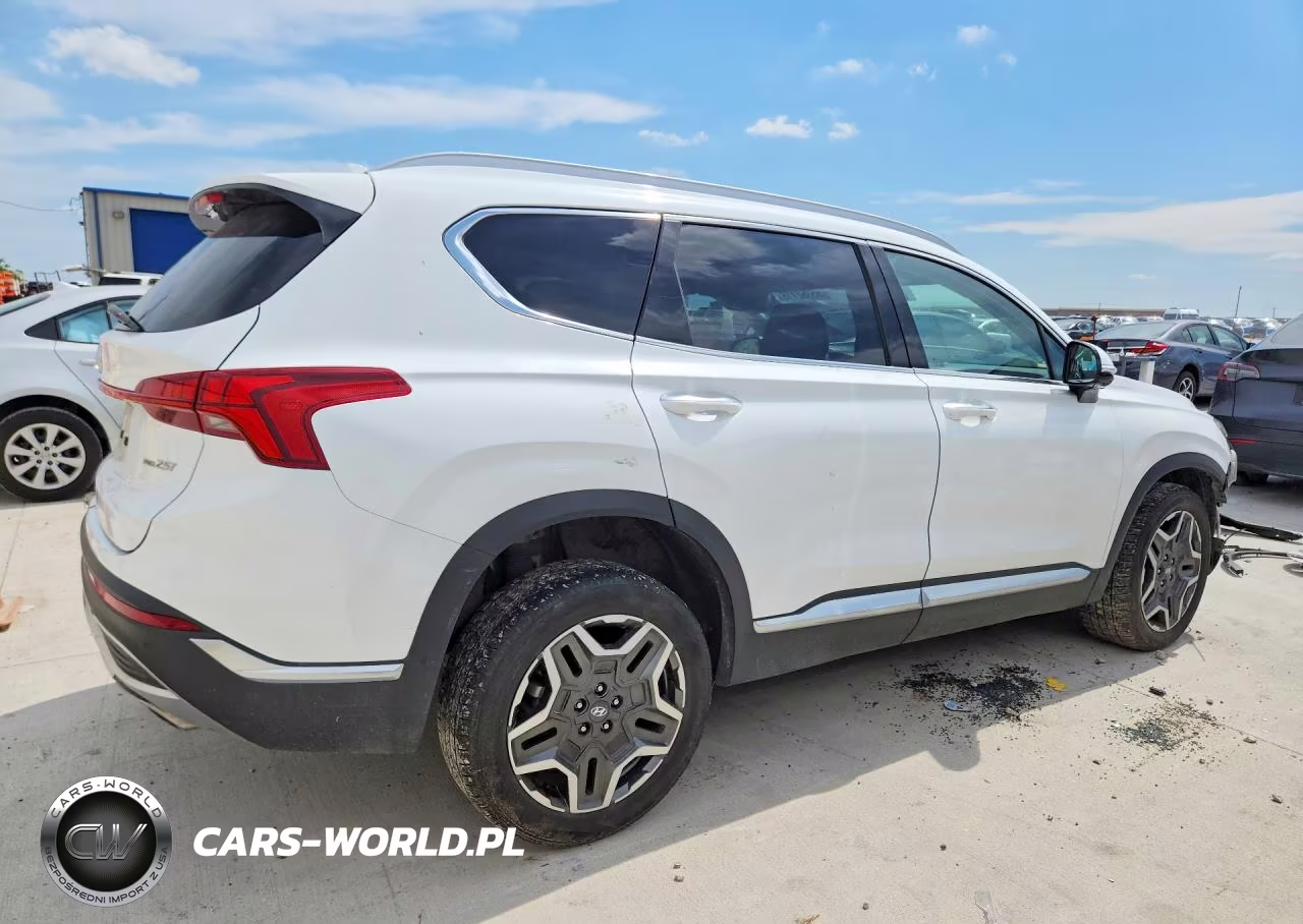 2023 Hyundai Santa Fe Limited VIN:5NMS4DAL8PH534807 - 3