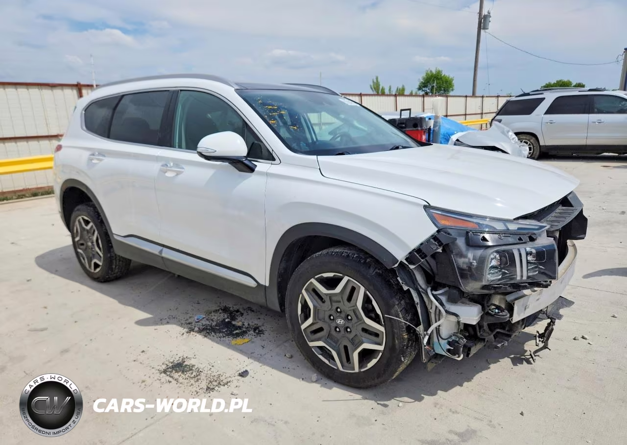 2023 Hyundai Santa Fe Limited VIN:5NMS4DAL8PH534807 - 4