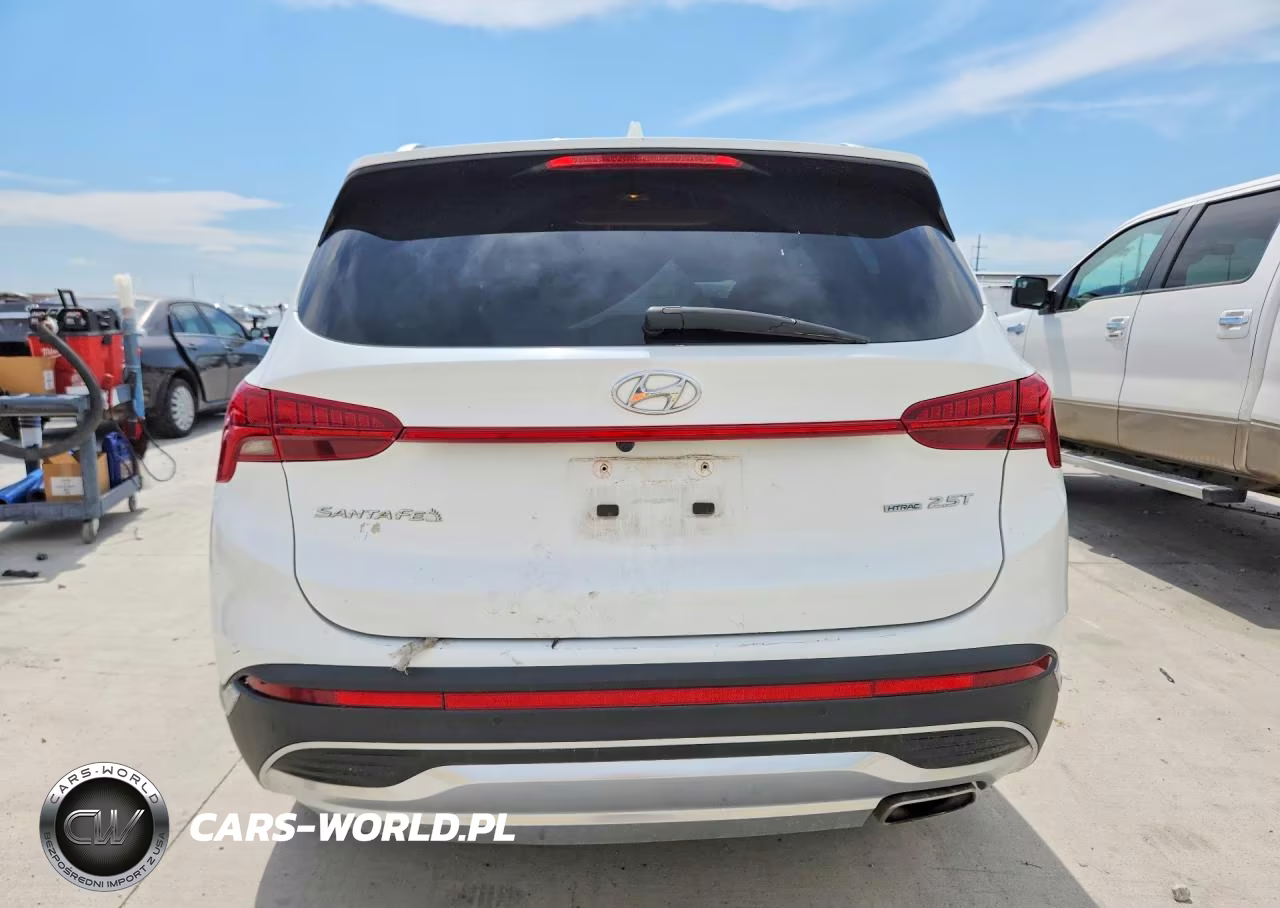 2023 Hyundai Santa Fe Limited VIN:5NMS4DAL8PH534807 - 6