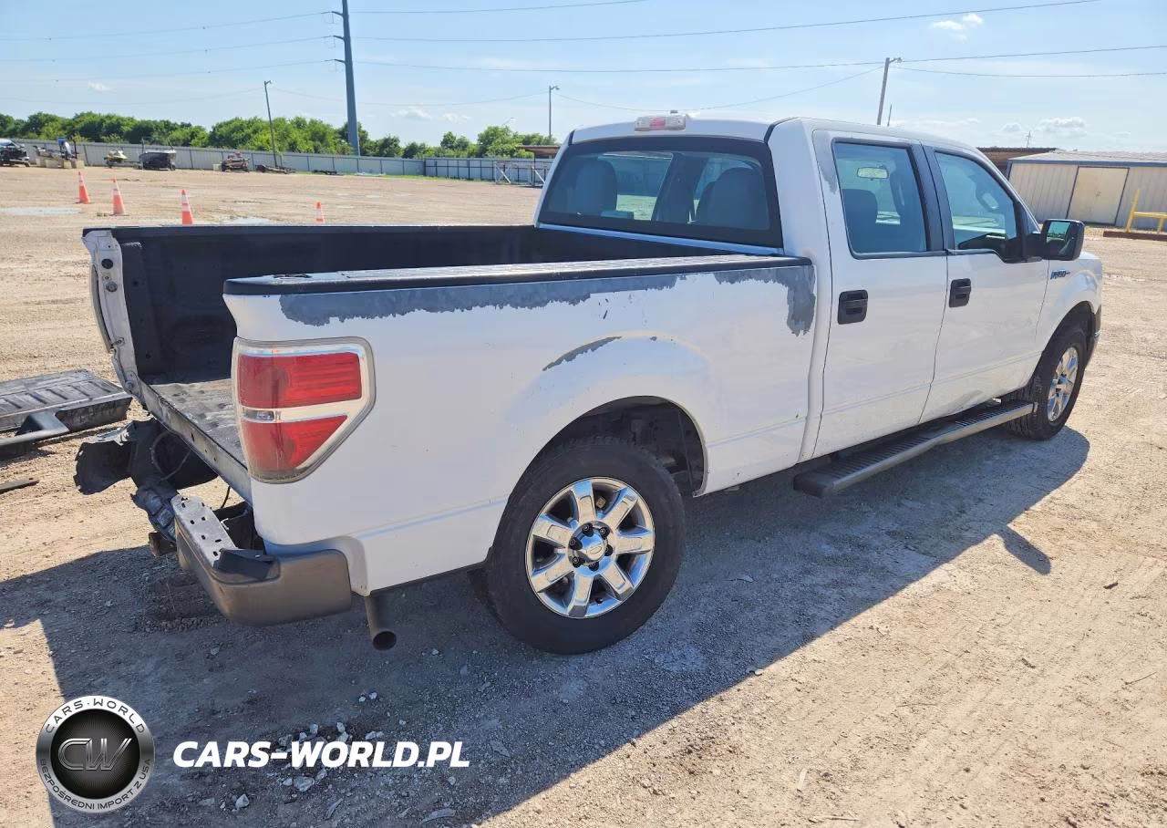 2010 Ford F150 Supercrew VIN:1FTEW1CW2AKA20623 - 3