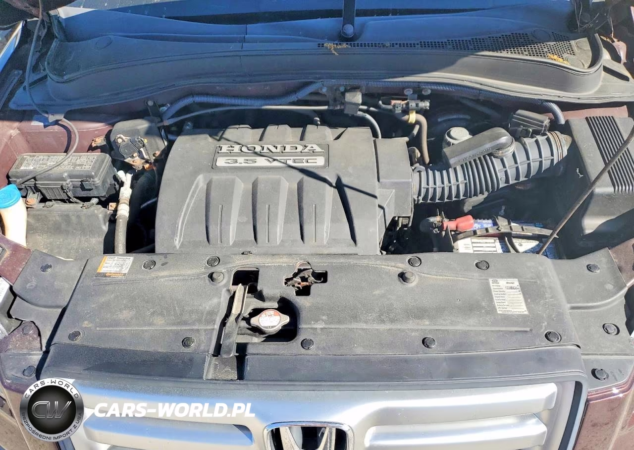 2007 Honda Pilot Exl VIN:5FNYF187X7B028926 - 12