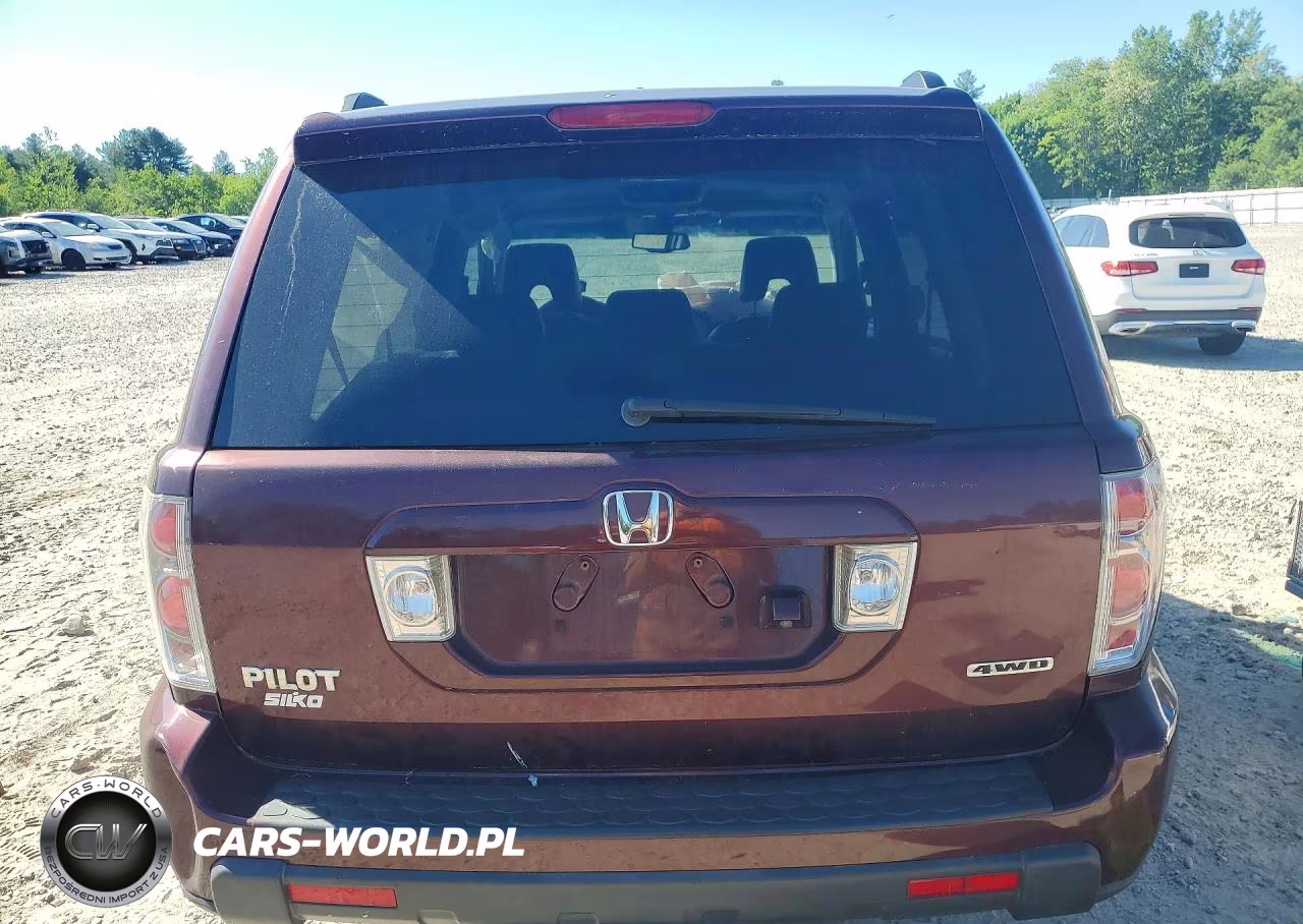 2007 Honda Pilot Exl VIN:5FNYF187X7B028926 - 6