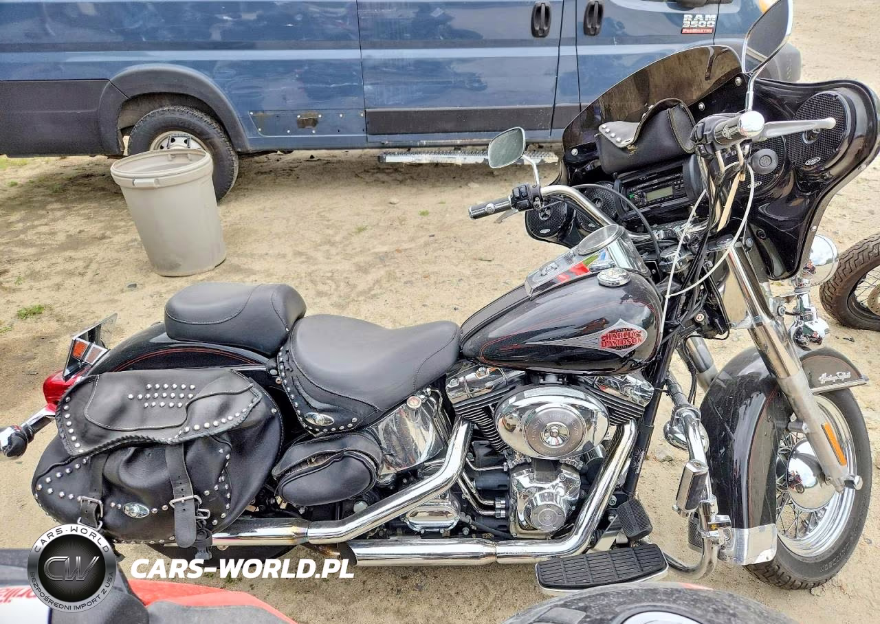 2001 Harley-Davidson Flstci
