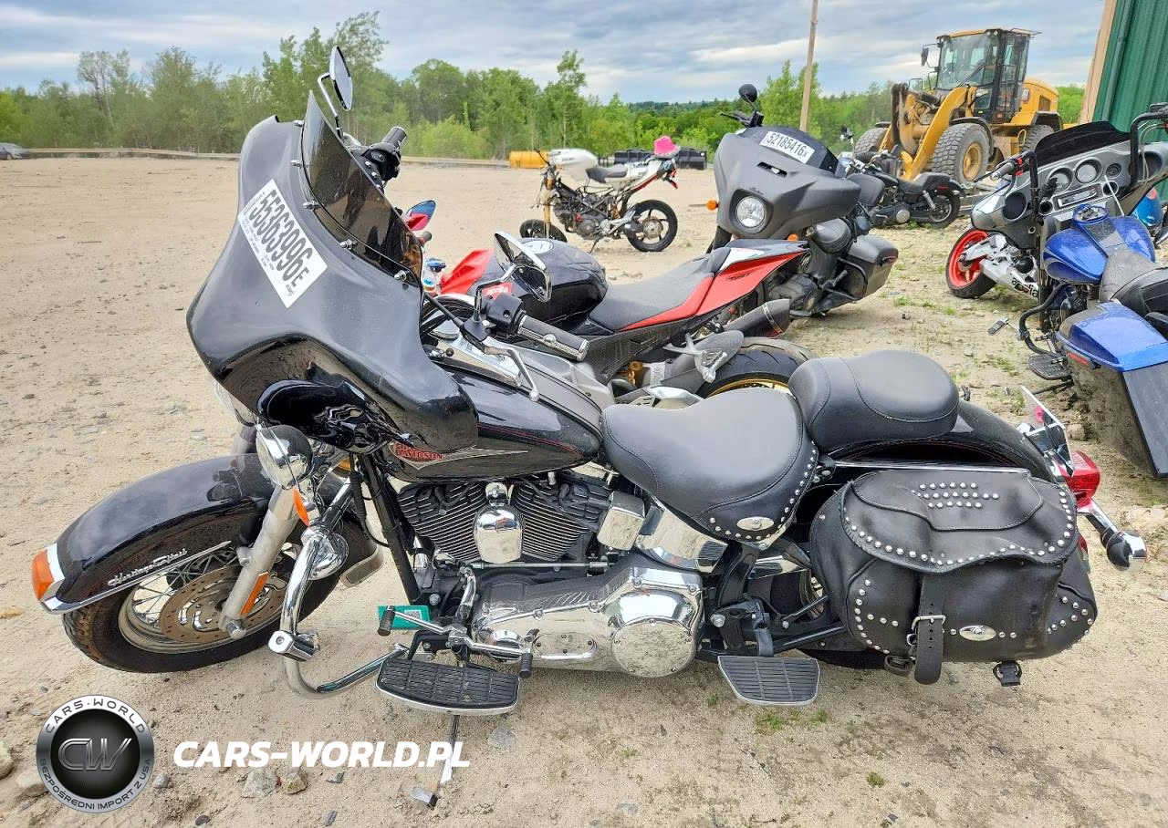 2001 Harley-Davidson Flstci VIN:1HD1BWB191Y018408 - 3