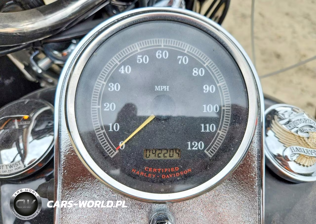 2001 Harley-Davidson Flstci VIN:1HD1BWB191Y018408 - 7
