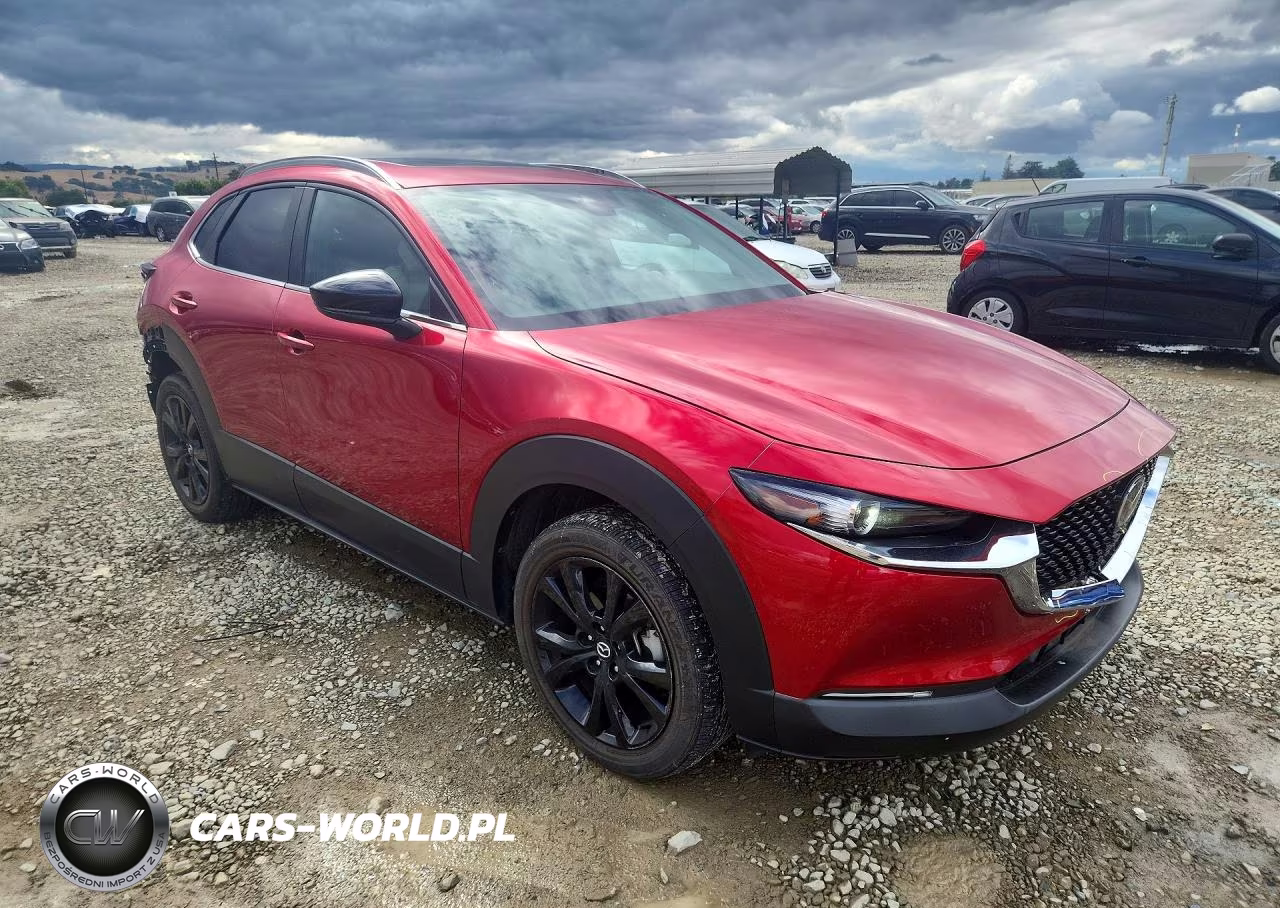 2021 Mazda Cx-30 VIN:3MVDMBAY2MM242103 - 4