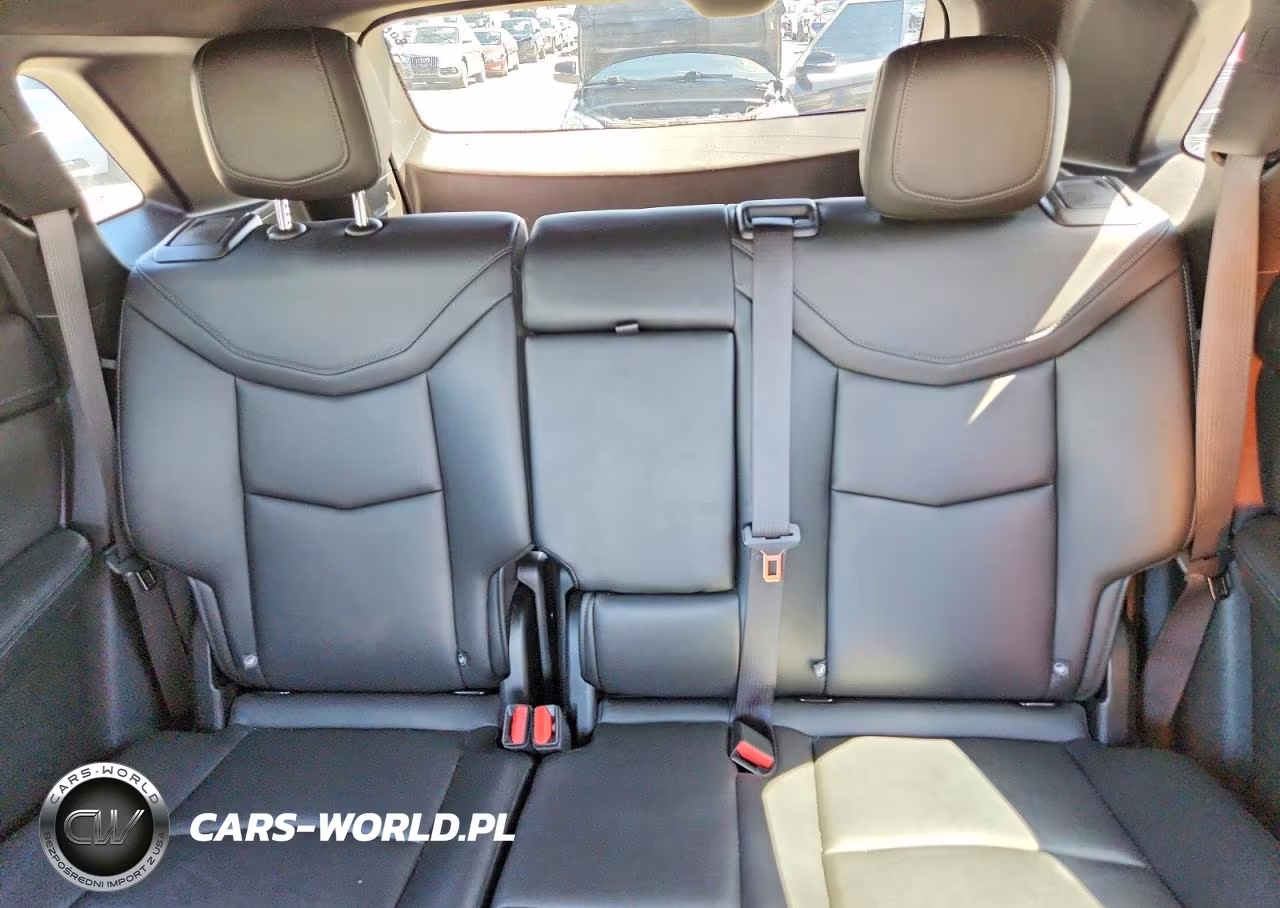 2020 Cadillac Xt5 Luxury VIN:1GYKNBR46LZ175780 - 10