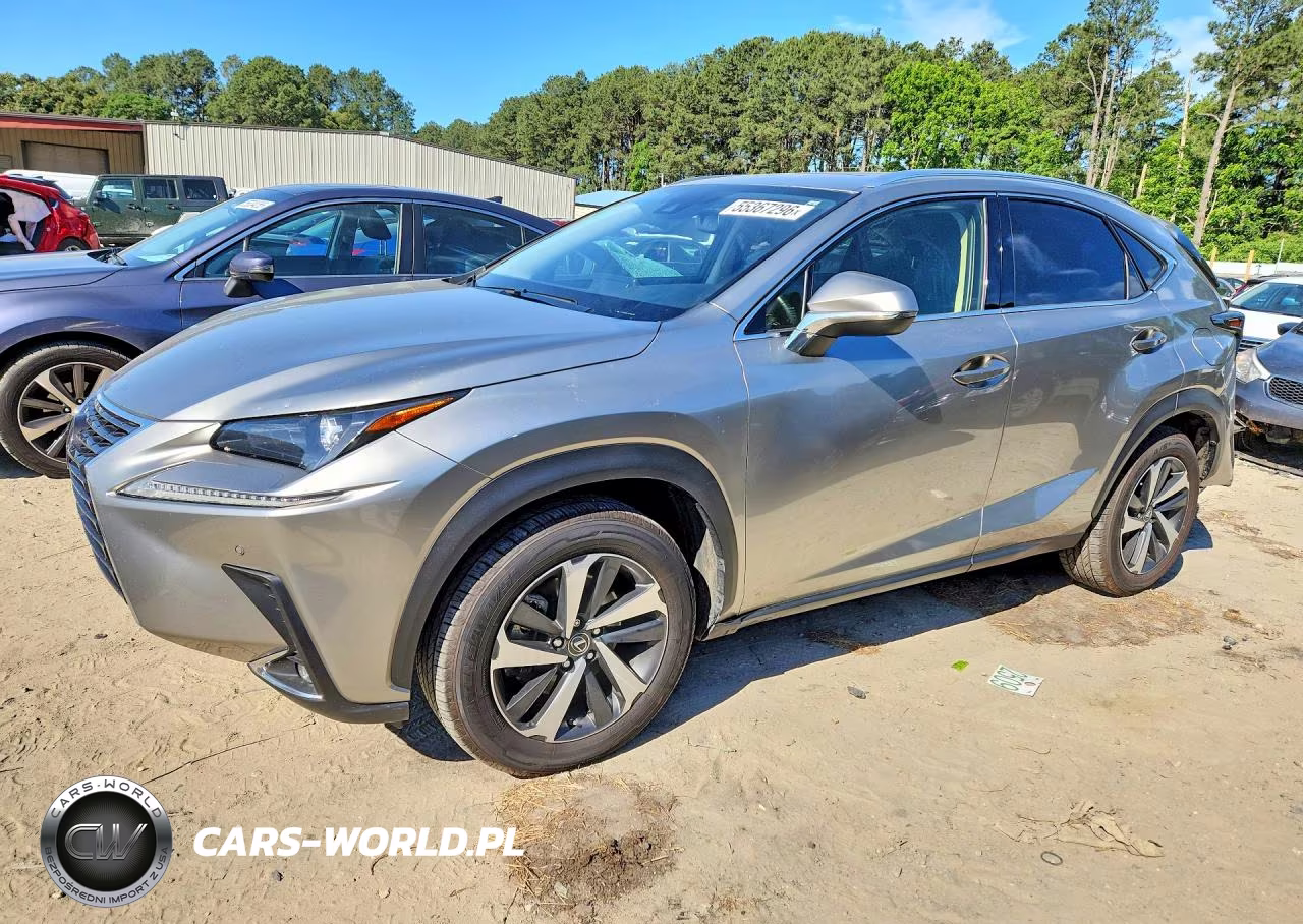 2020 Lexus Nx 300