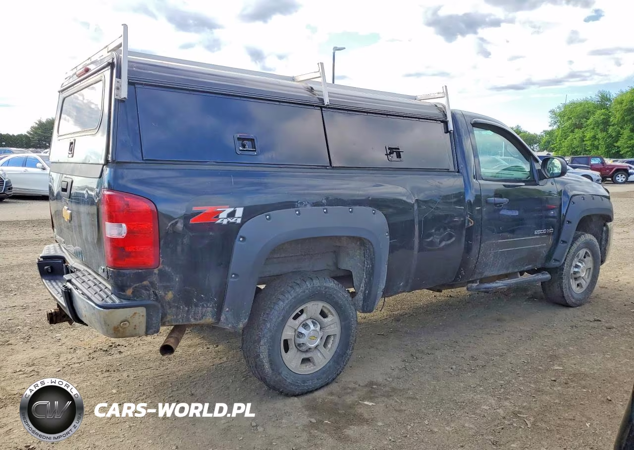 2010 Chevrolet Silverado K2500 Heavy Duty Lt VIN:1GC3KXBGXAF116752 - 3